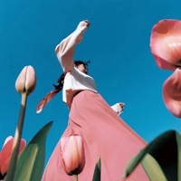 YANG专属