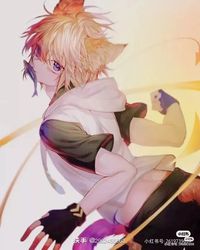 all林淋