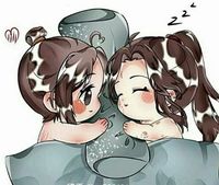 风信x慕情