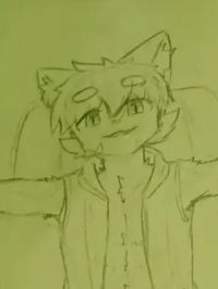 借用设定