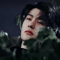 允许磕唐