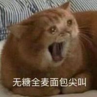 纯情少男