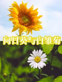 藝股清流