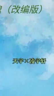 雙宇之戀