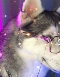 今天又被本文虐哭
