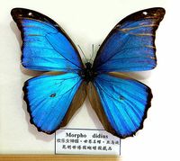 浩桐重生