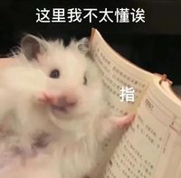 一个初一女孩