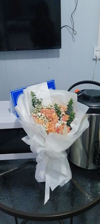 原创双女主春季征文