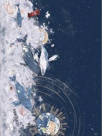 獾院與蛇院
