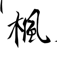 阴暗的枫子