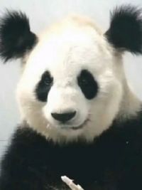 三支一扶