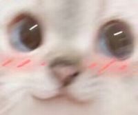 阮软酱吖