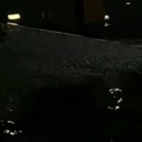 主CP澜野
