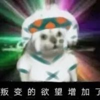 心海cp