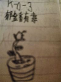 主角很奇怪