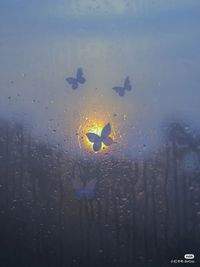 暮晨雨