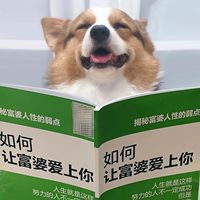 佣囚友情向