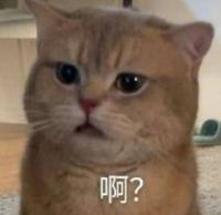 无期迷途海拉
