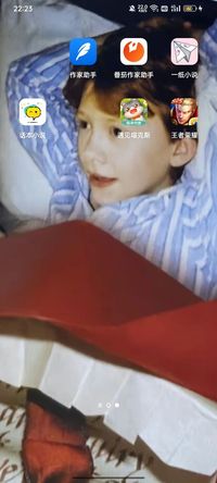 一寸绵羊