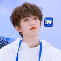 希林娜依高劉宇