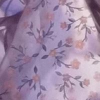 贤勤cp