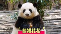 取得了