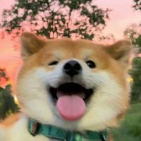 暑假全勤