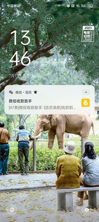 暑期明星综艺征文