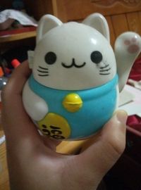 设定偏玛丽苏