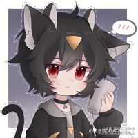 猫猫小心