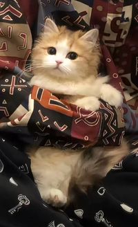 邊桃子