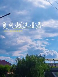 夏风越过青春