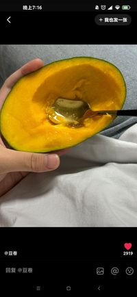 办案类