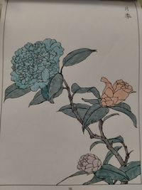既已逝去不可重来