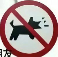贤话作者