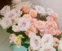 校园伤感活着幻想