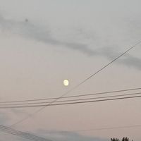 不過夢一場只是不能