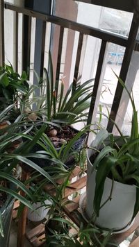 日常慢熱