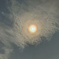 铃兰思钧