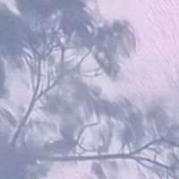 再见我已退圈不更新了