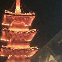 明星and網(wǎng)文作者