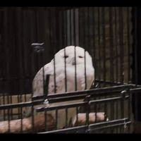 与原著有所不同改编