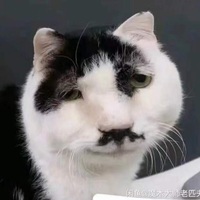 wft