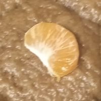 作者第一部正常的小說