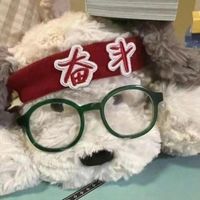 ch小疯队