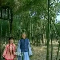 秦燕文