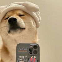 鉑金蛋殼