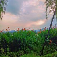 初中作品