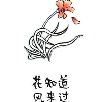 致敬安靜又躁動的青春