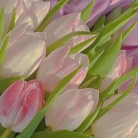 钱昭x原创女角色